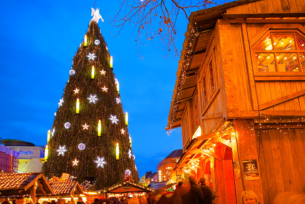 Christmas Market and the Biggest Christmas Tree in the World, Hansaplatz, Dortmund, North Rhine-Westphalia, Germany, Europe