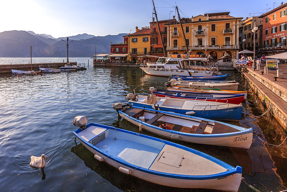 View of boats in Malcesine Harbour by the Lake, Malcesine, Lake Garda, Veneto, Italian Lakes, Italy, Europe