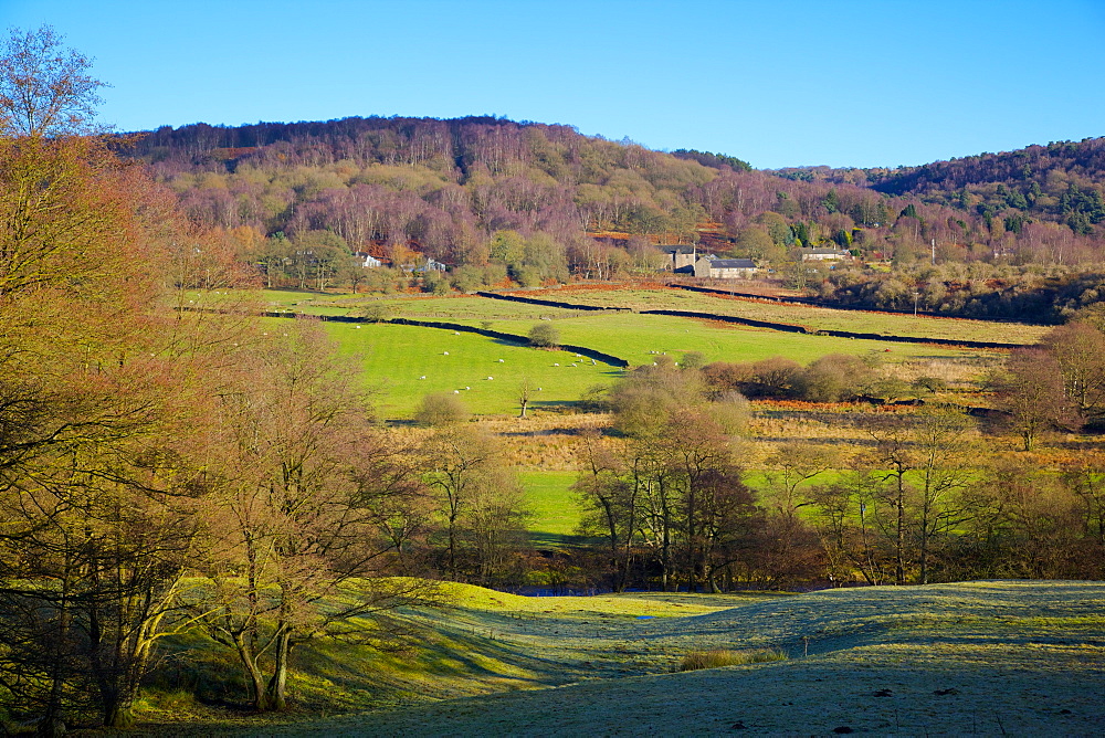 Farm near Grindleford, Peak District National Park, Derbyshire, England, United Kingdom, Europe