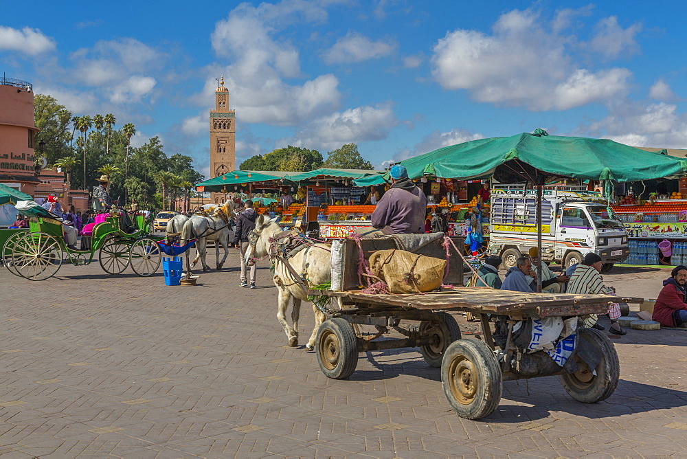 Horse and cart on Jemaa el Fna (Djemaa el Fnaa) Square, UNESCO World Heritage Site and Koutoubia Mosque visible, Marrakesh (Marrakech), Morocco, North Africa, Africa