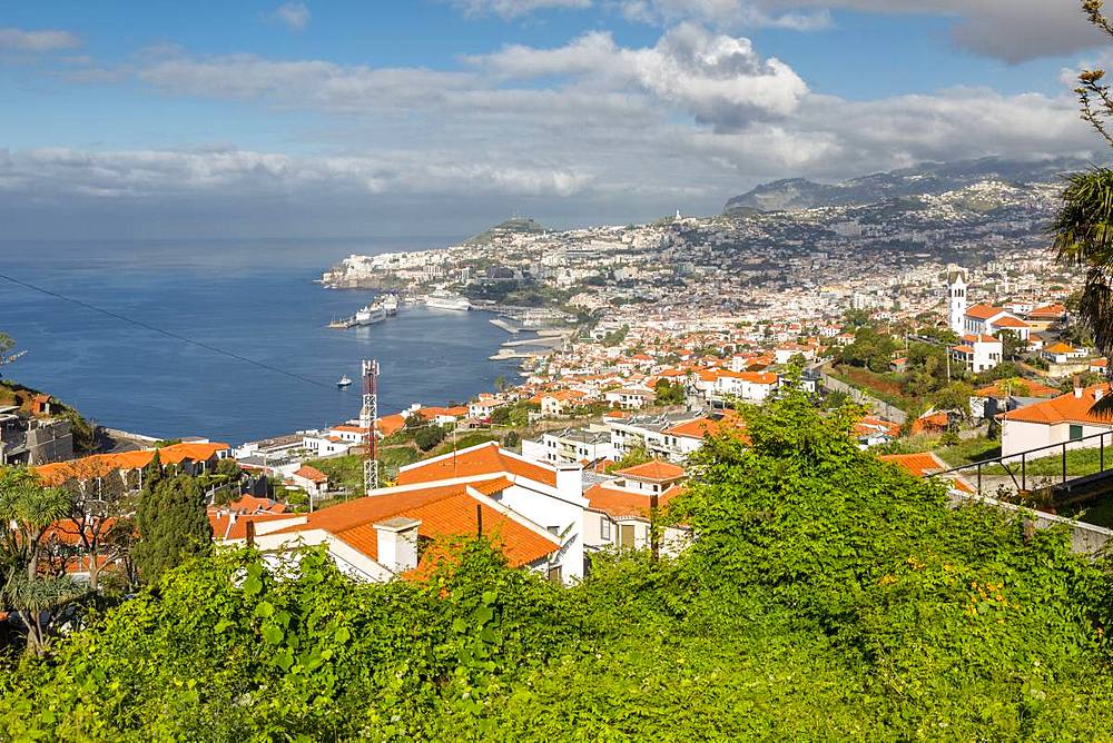 View of Church of Sao Goncalo overlooking Funchal harbour and town, Funchal, Madeira, Portugal, Atlantic, Europe