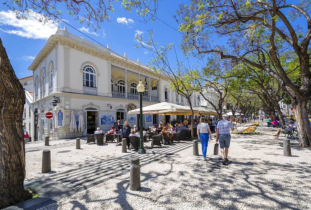 Al Fresco restaurants and Flower Festival on Avenue Arriaga during springtime, Funchal, Madeira, Portugal, Europe