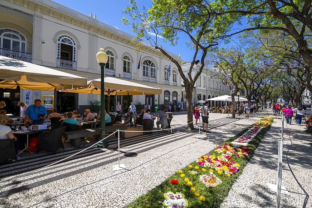 Al Fresco restaurants and Flower Festival on Avenue Arriaga during springtime, Funchal, Madeira, Portugal, Atlantic, Europe