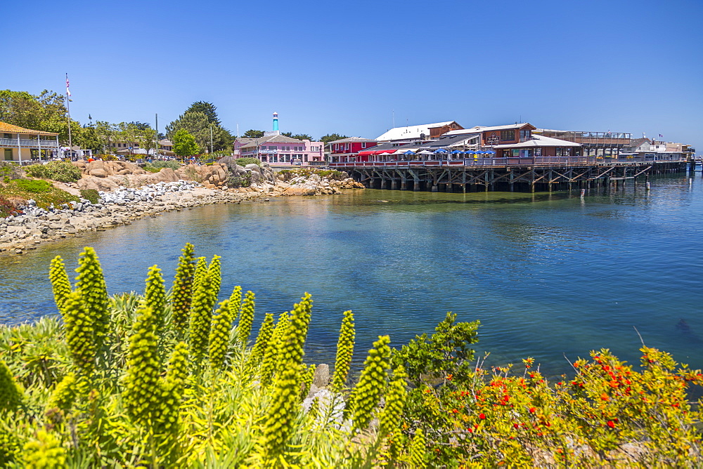 Fisherman's Wharf, Monterey Bay, Peninsula, Monterey, Pacific Ocean, California, United States of America, North America