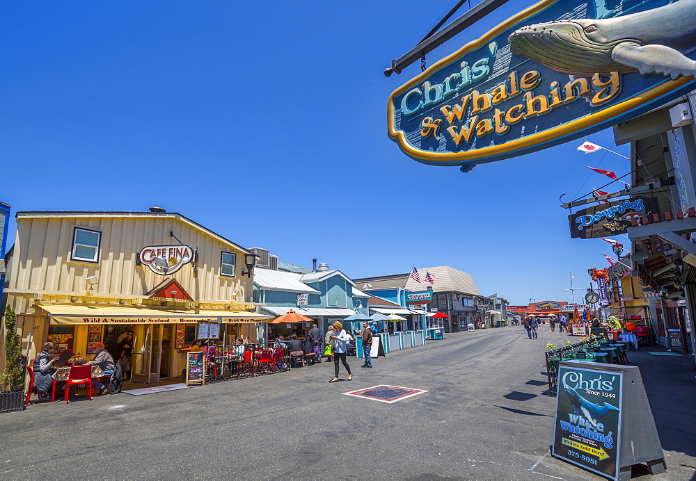 Shops on Fisherman's Wharf pier, Monterey Bay, Peninsula, Monterey, California, United States of America, North America