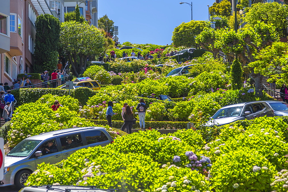 View of cars on Lombard Street, San Francisco, California, United States of America, North America