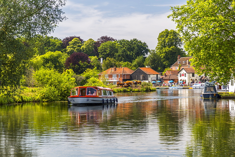 Boats on River Bure at Coltishall, Norfolk Broads, Norfolk, England, United Kingdom, Europe