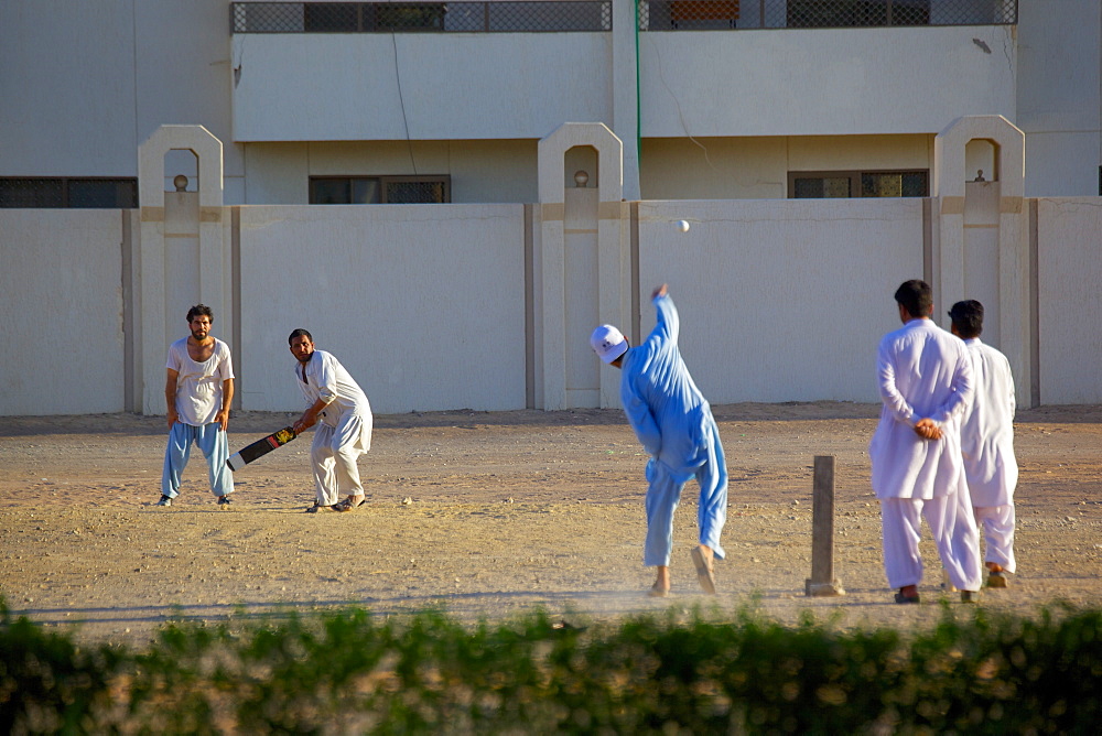 Local cricket match, Al Ain, Abu Dhabi, United Arab Emirates, Middle East