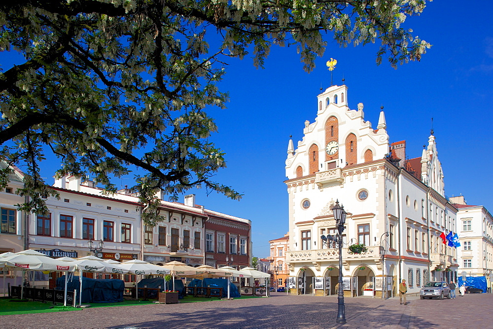 City Hall, Market Square, Old Town, Rzeszow, Poland, Europe