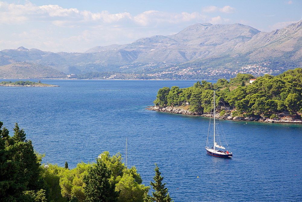 Adriatic coastline, Cavtat, Dubrovnik Riviera, Dalmatian Coast, Dalmatia, Croatia, Europe 