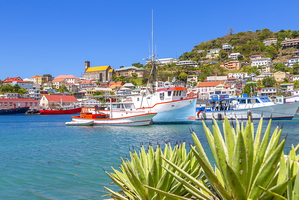 View over the Carenage of St. George's, Grenada, Windward Islands, West Indies, Caribbean, Central America