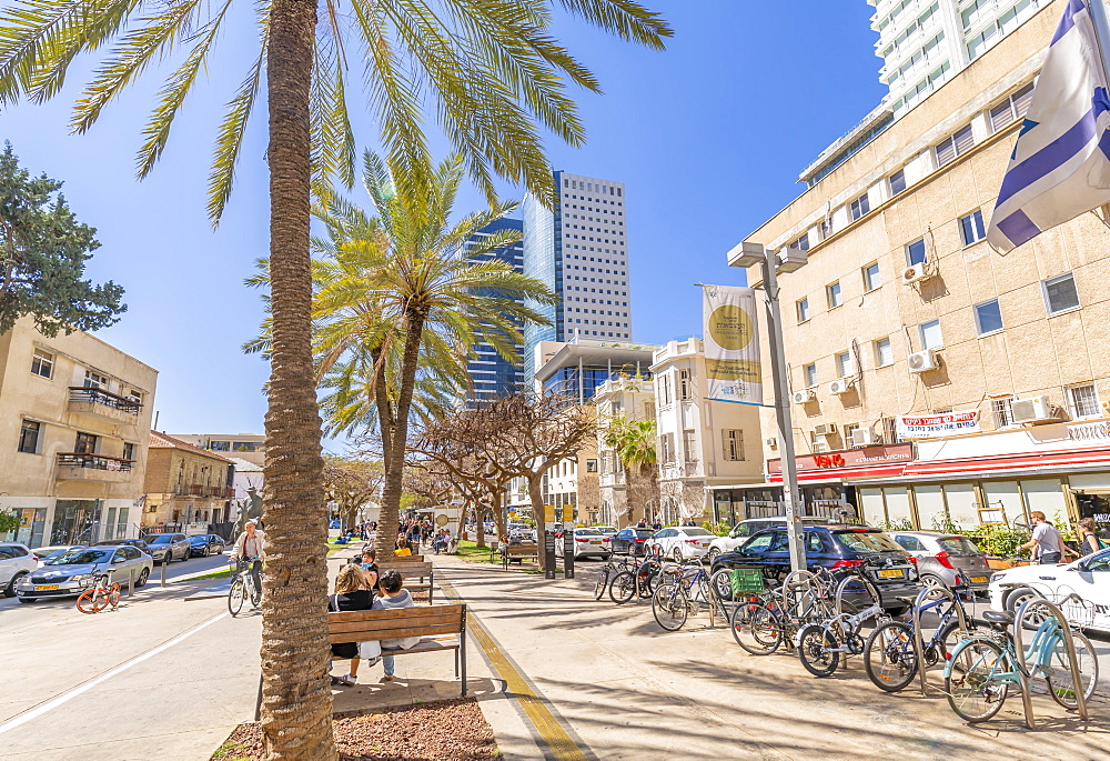 View of palm trees and walkway on Rothschild Boulevard, Tel Aviv, Israel, Middle East