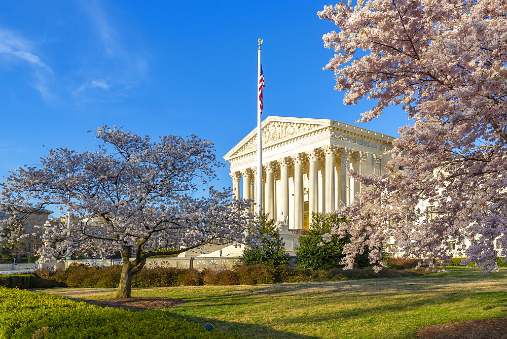 View of Supreme Court of the United States in spring, Washington D.C., United States of America, North America