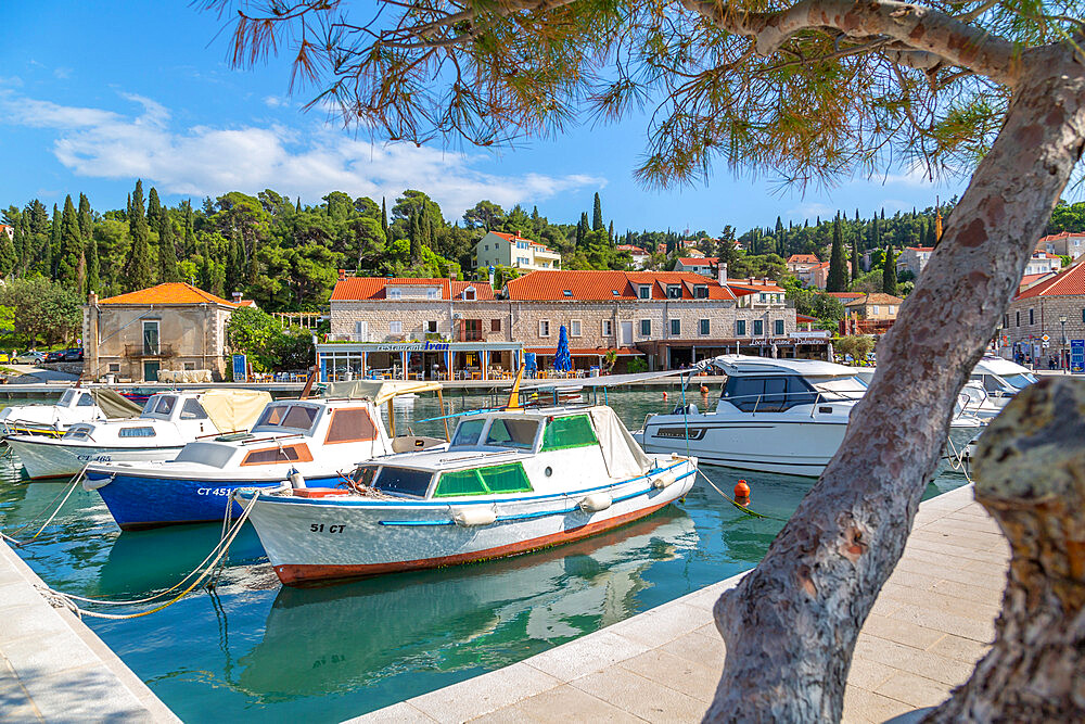 View of boats in the harbour in Cavtat on the Adriatic Sea, Cavtat, Dubrovnik Riviera, Croatia, Europe