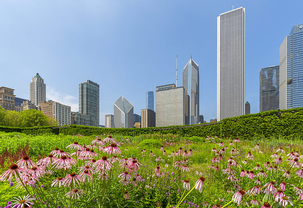 View of city skyscrapers from Millennium Park, Downtown Chicago, Illinois, United States of America, North America