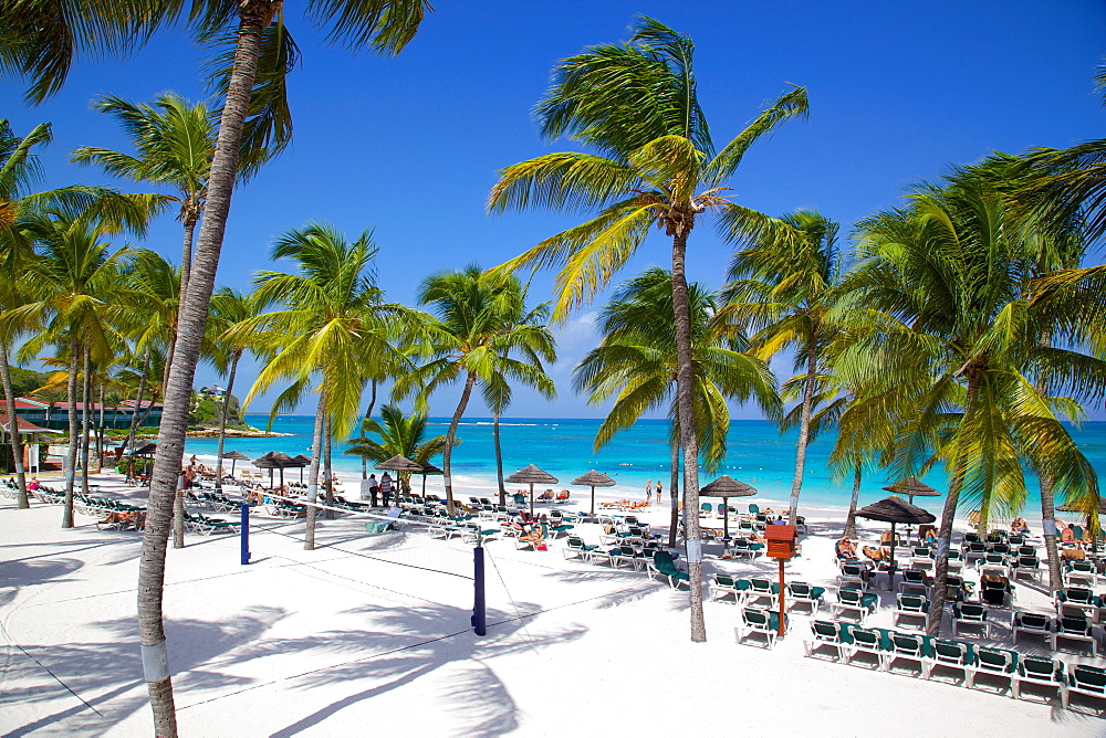 Beach and palm trees, Long Bay, Antigua, Leeward Islands, West Indies, Caribbean, Central America