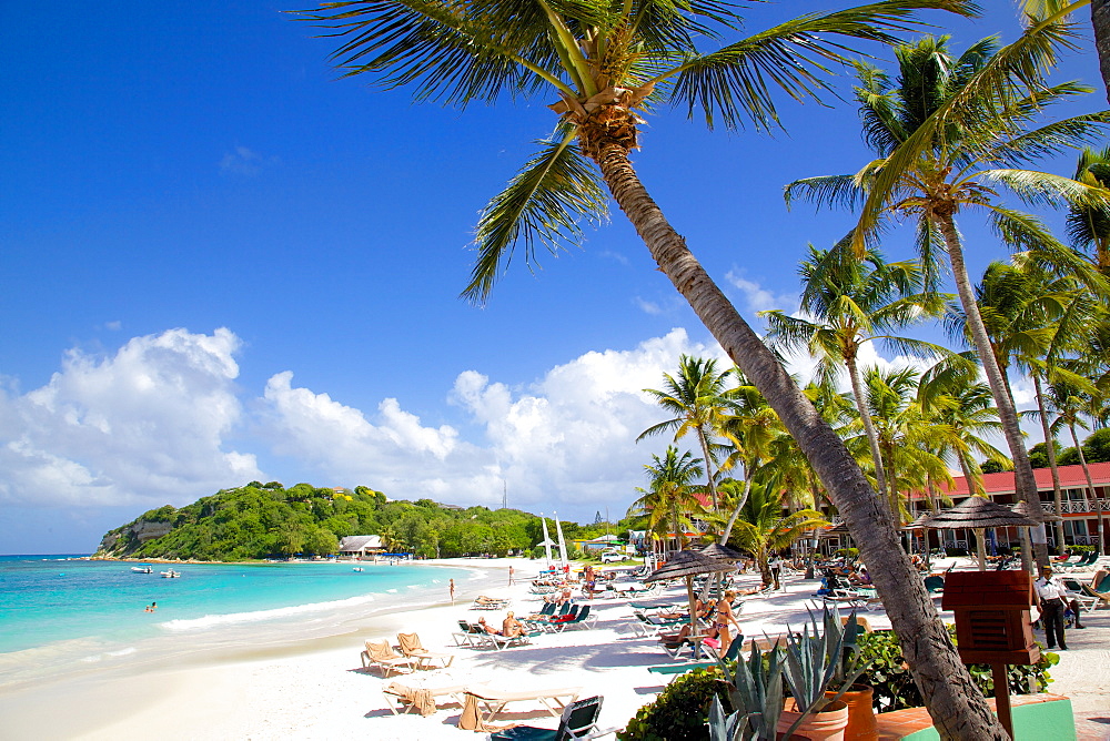 Beach and palm trees, Long Bay, Antigua, Leeward Islands, West Indies, Caribbean, Central America