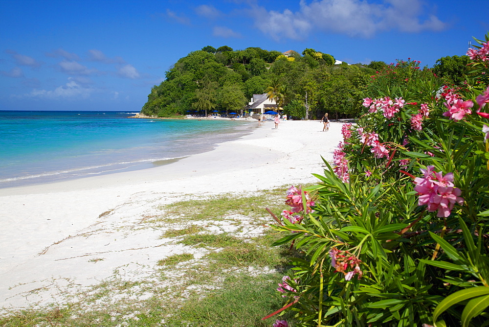 Long Bay and beach, Antigua, Leeward Islands, West Indies, Caribbean, Central America