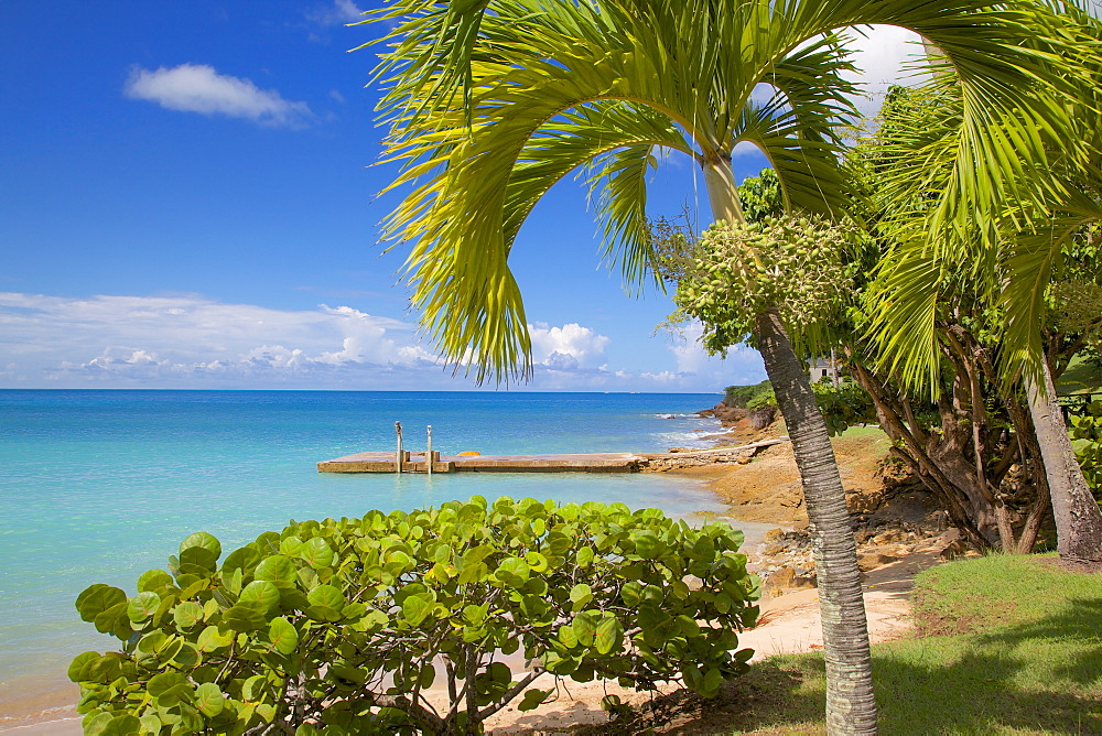 St. Johns, Antigua, Leeward Islands, West Indies, Caribbean, Central America