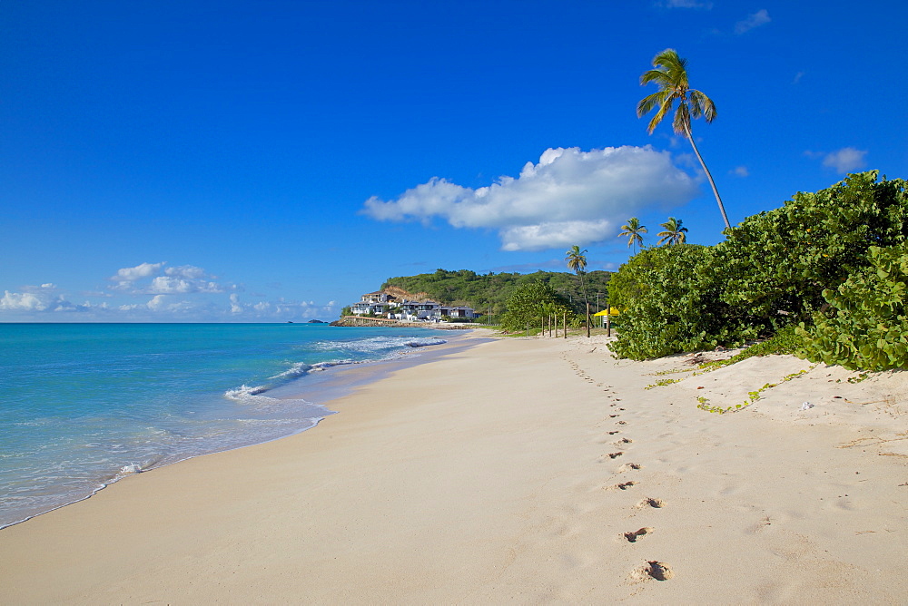 Darkwood Beach, St. Johns, Antigua, Leeward Islands, West Indies, Caribbean, Central America