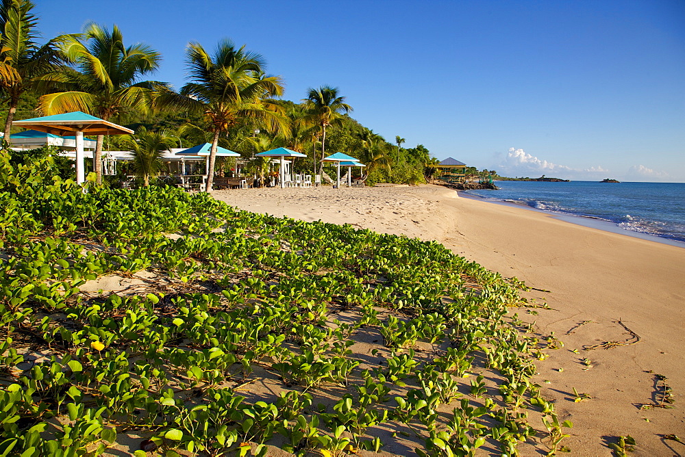 Turner's Beach, St. Mary, Antigua, Leeward Islands, West Indies, Caribbean, Central America