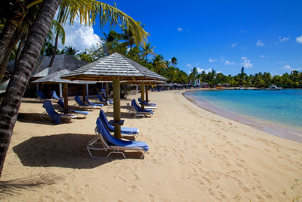 Palm trees and beach, Morris Bay, St. Mary, Antigua, Leeward Islands, West Indies, Caribbean, Central America