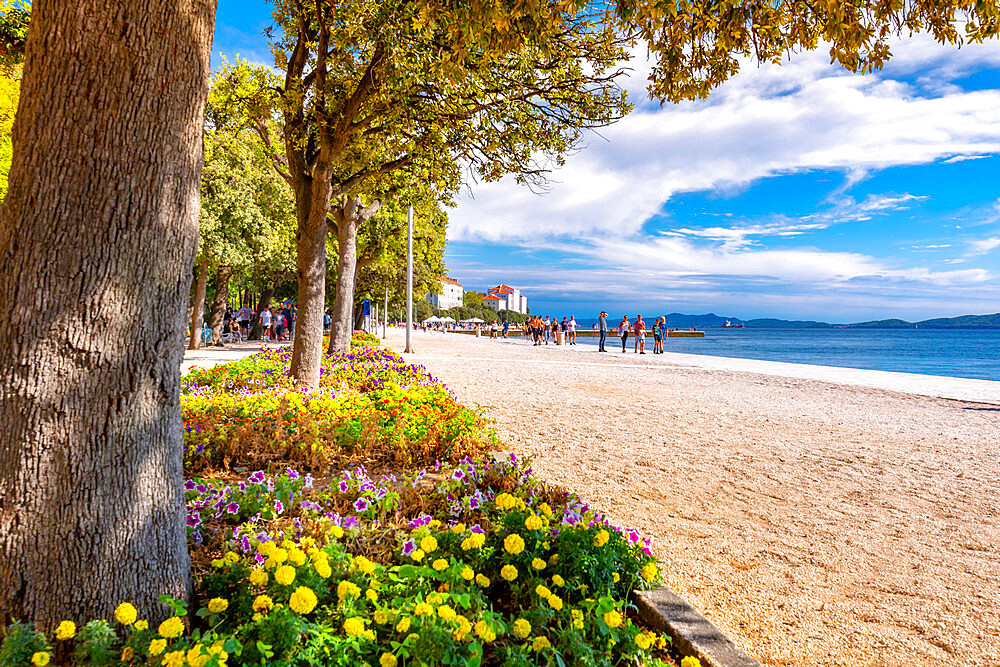 View of promenade, Zadar, Zadar county, Dalmatia region, Croatia, Europe