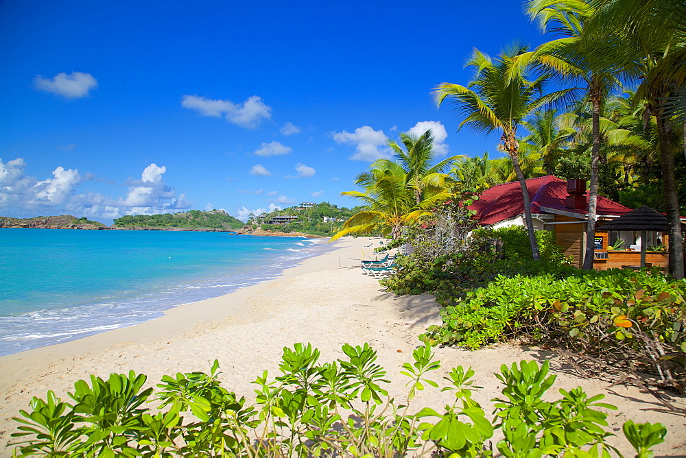 Galley Bay and beach, St. Johns, Antigua, Leeward Islands, West Indies, Caribbean, Central America