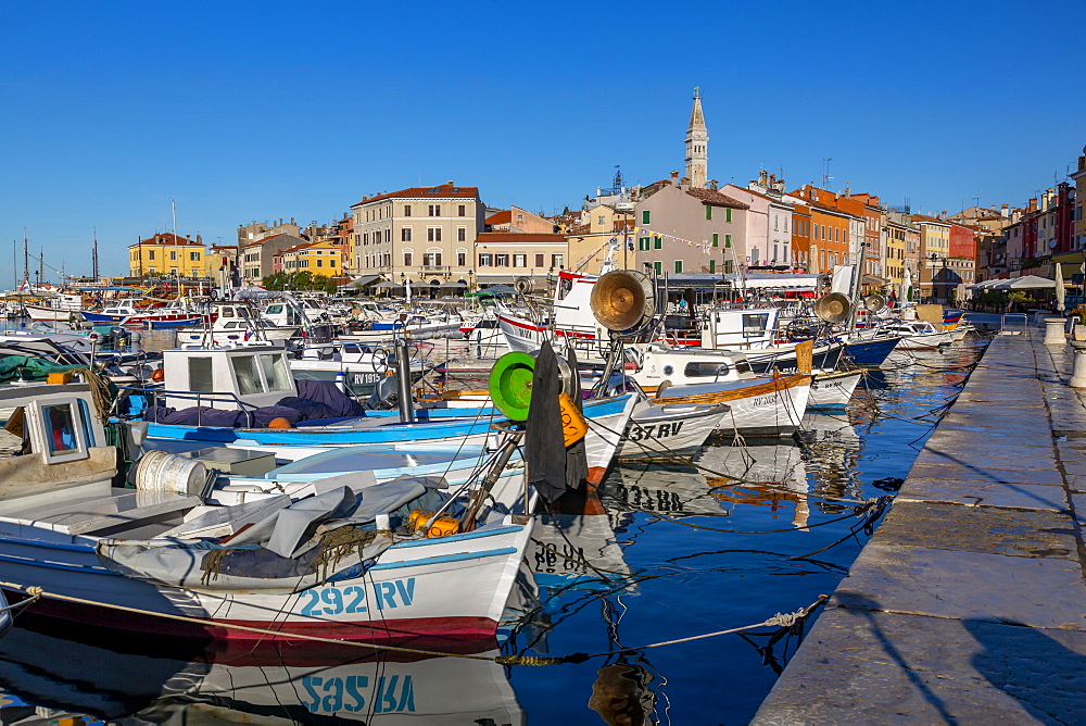 View of harbour and the old town with the Cathedral of St. Euphemia, Rovinj, Istria, Croatia, Adriatic, Europe