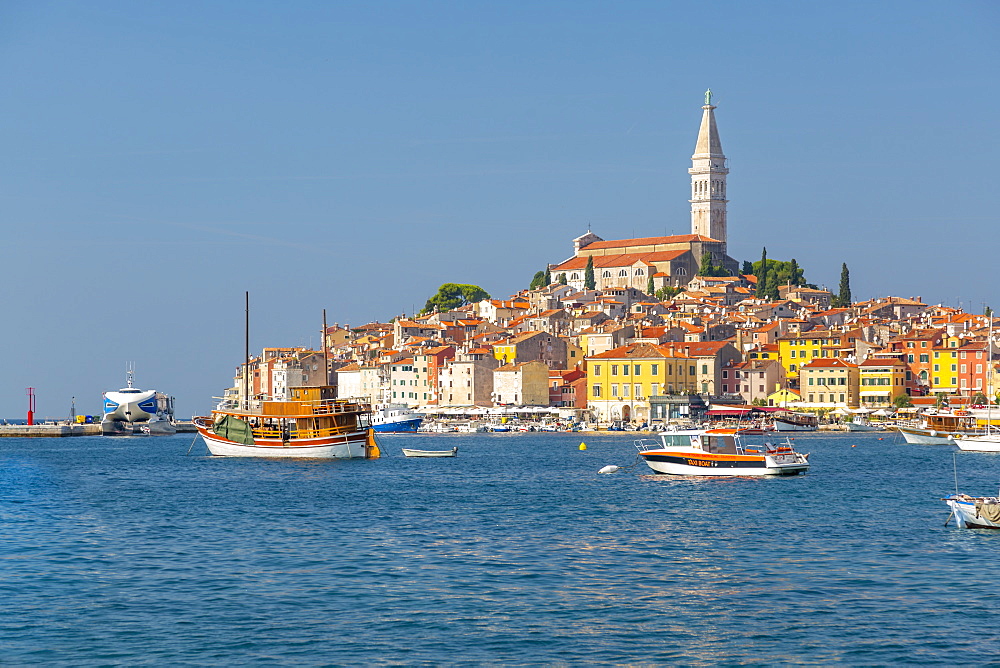 View of harbour and the old town with the Cathedral of St. Euphemia, Rovinj, Istria, Croatia, Adriatic, Europe