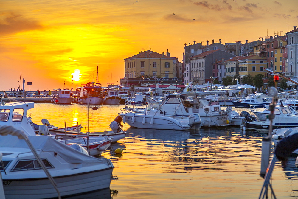 View of harbour and the old town at sunset, Rovinj, Istria, Croatia, Adriatic, Europe