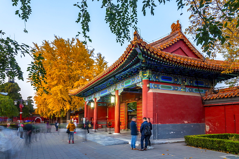 View of autumn colours and souvenir shop in Jingshan Park at dusk, Xicheng, Beijing, People's Republic of China, Asia