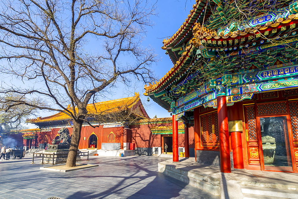 View of Ornate Tibetan Buddhist Lama Temple (Yonghe Temple), Dongcheng, Beijing, People's Republic of China, Asia