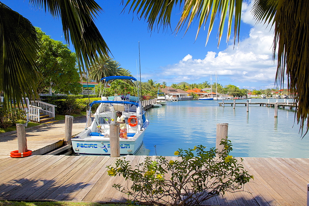 Harbour, Jolly Harbour, St. Mary, Antigua, Leeward Islands, West Indies, Caribbean, Central America