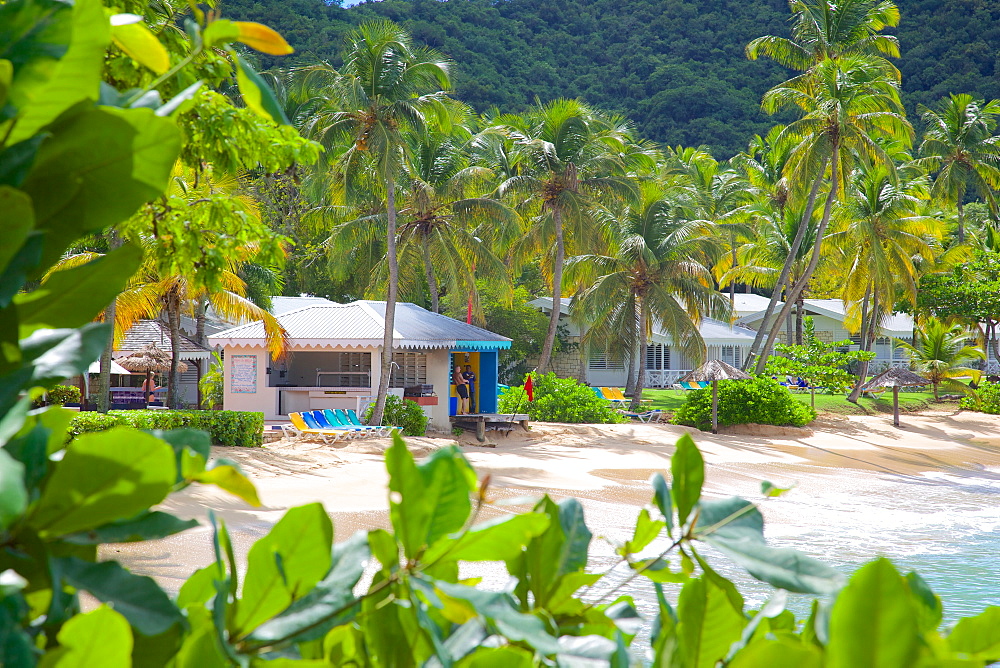 Hawksbill Bay and Beach, St. Johns, Antigua, Leeward Islands, West Indies, Caribbean, Central America