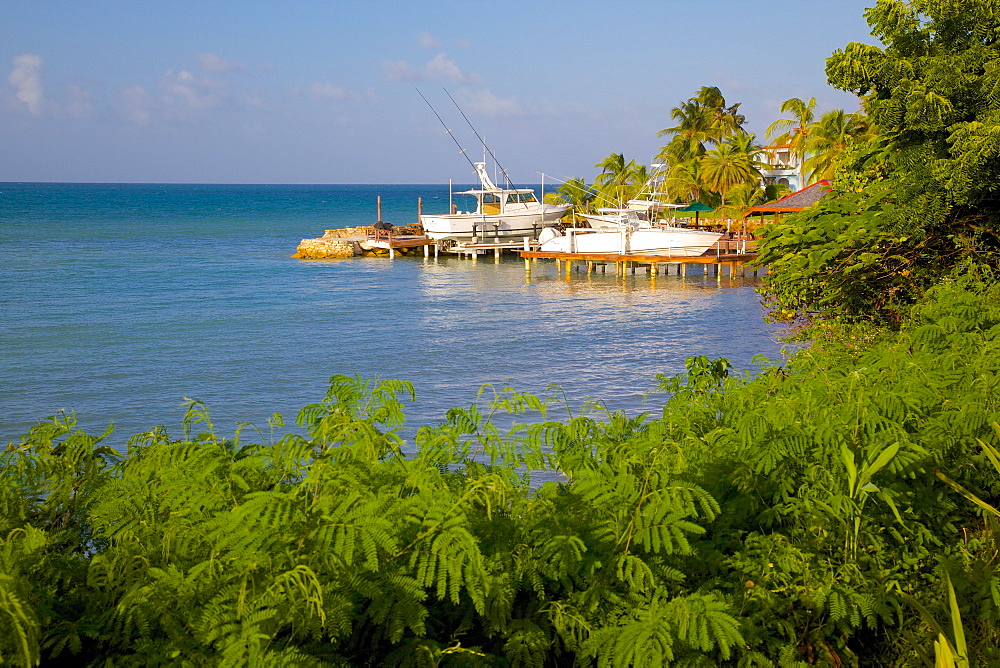 Coast near Gracefield, St. Georges, Antigua, Leeward Islands, West Indies, Caribbean, Central America