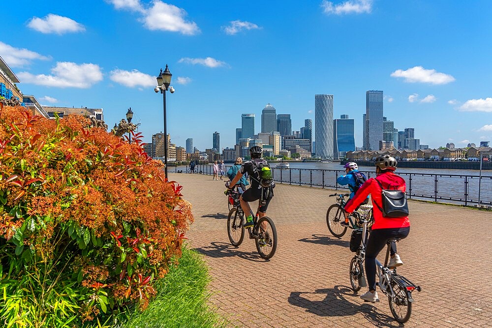 View of cyclists on the Thames Path at Wapping and Canary Wharf Financial District in the background, London, England, United Kingdom, Europe