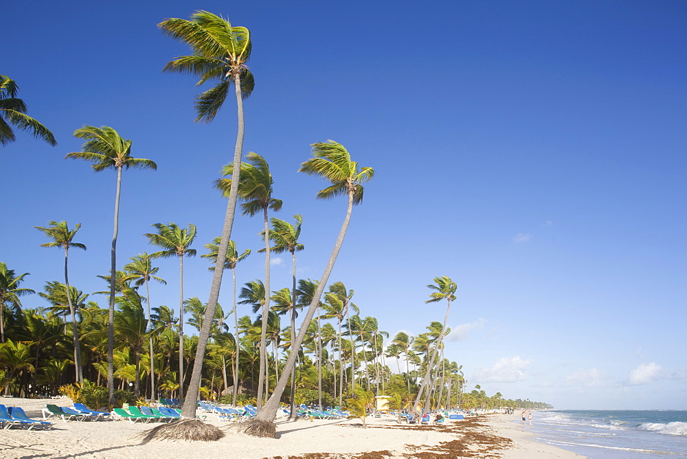 Bavaro Beach, Punta Cana, Dominican Republic, West Indies, Caribbean, Central America