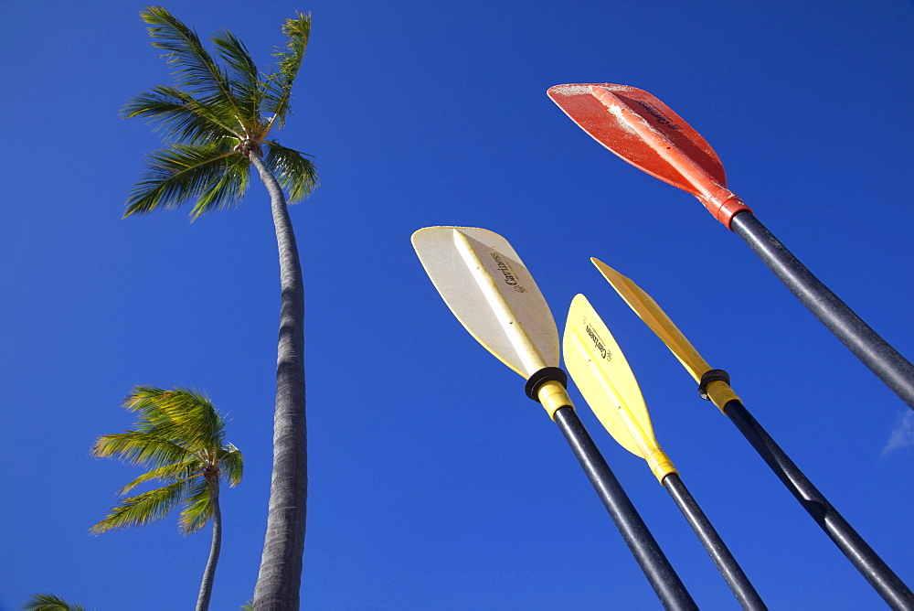 Palms and paddles, Bavaro Beach, Punta Cana, Dominican Republic, West Indies, Caribbean, Central America