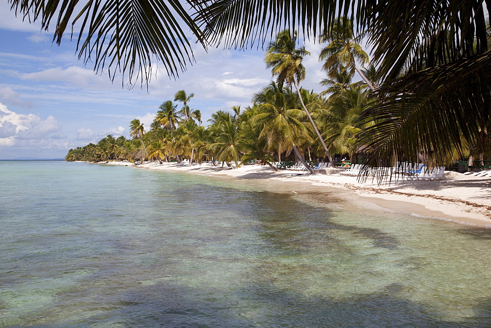 Saona Island, Dominican Republic, West Indies, Caribbean, Central America