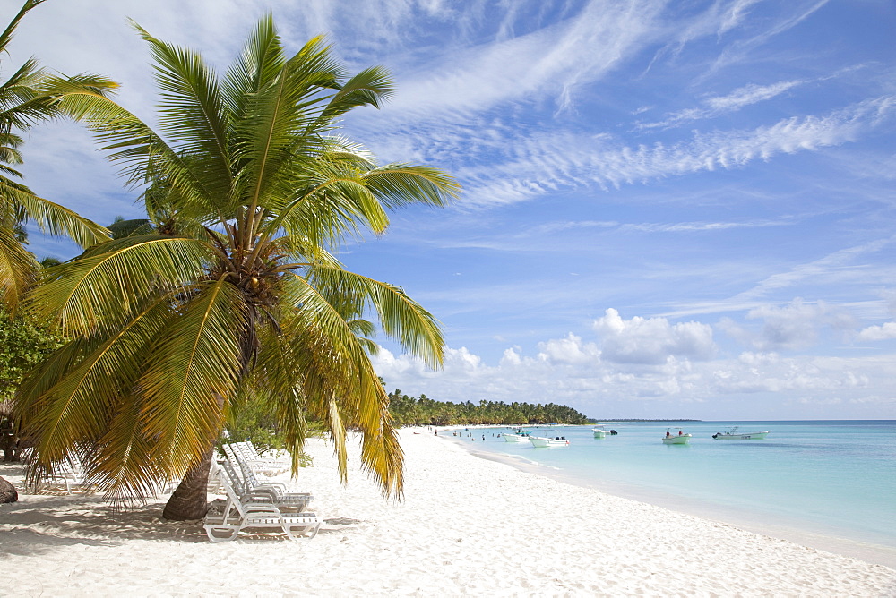 Saona Island, Dominican Republic, West Indies, Caribbean, Central America