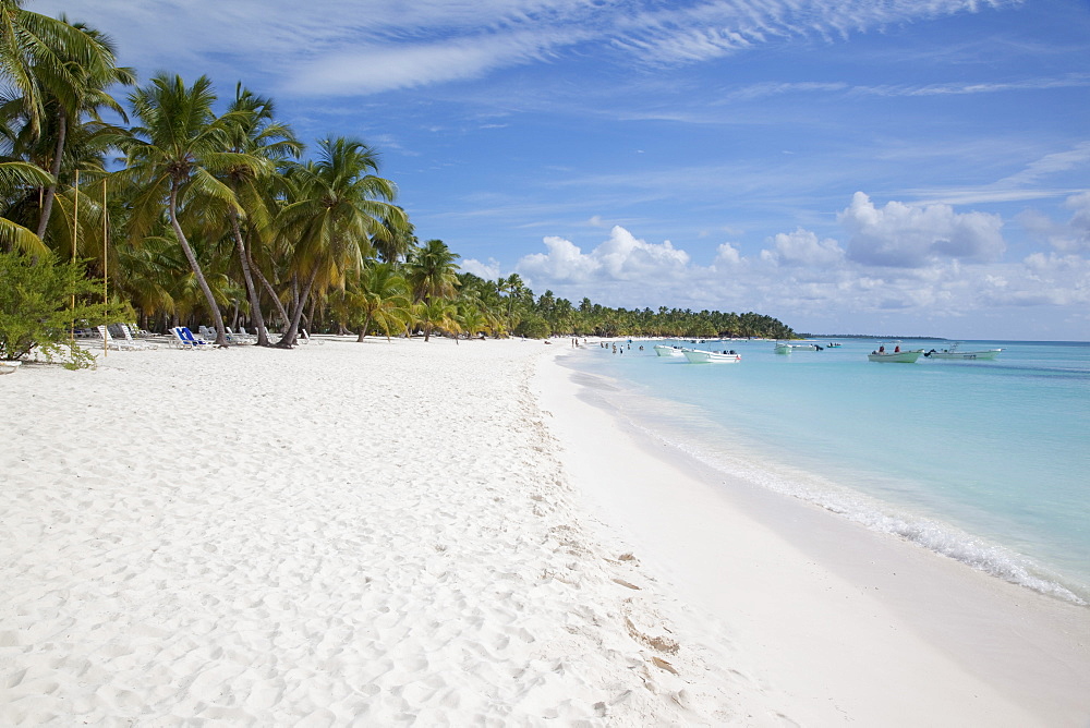 Saona Island, Dominican Republic, West Indies, Caribbean, Central America