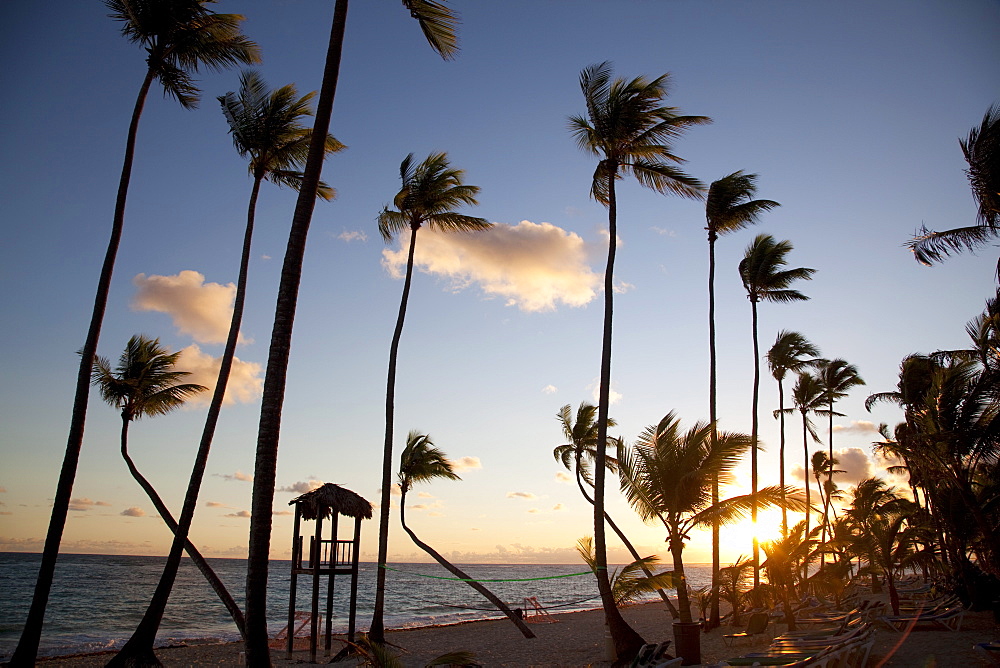 Bavaro Beach at sunrise, Punta Cana, Dominican Republic, West Indies, Caribbean, Central America