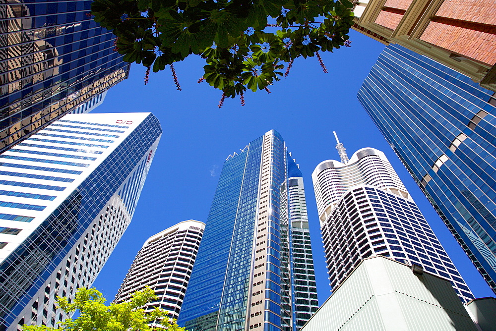 City Skyscrapers, Brisbane, Queensland, Australia, Oceania