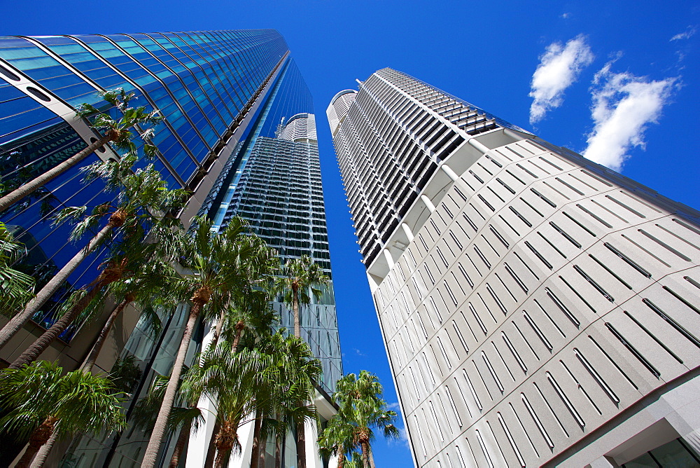 City Skyscrapers, Brisbane, Queensland, Australia, Oceania