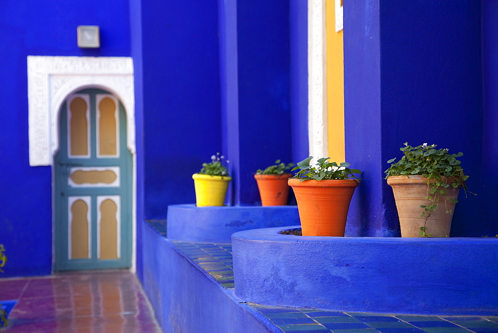 Majorelle Gardens, Marrakesh, Morocco, North Africa, Africa