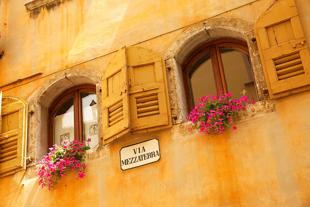 Shuttered windows and flowers, Piazza Mercato, Belluno, Province of Belluno, Veneto, Italy, Europe