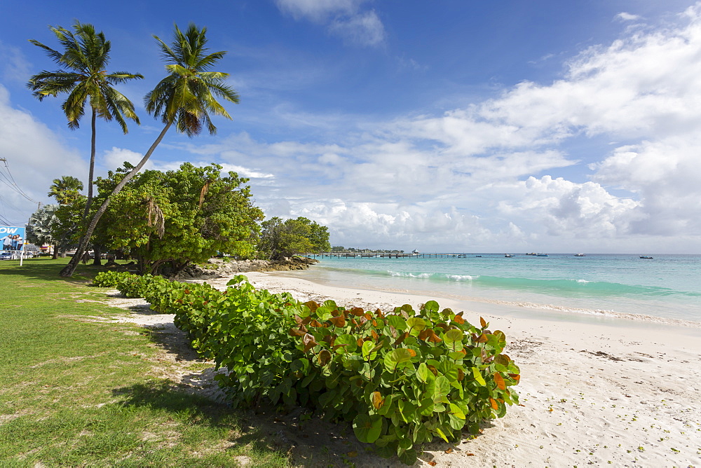 Welches Beach, Oistins, Christ Church, Barbados, West Indies, Caribbean, Central America