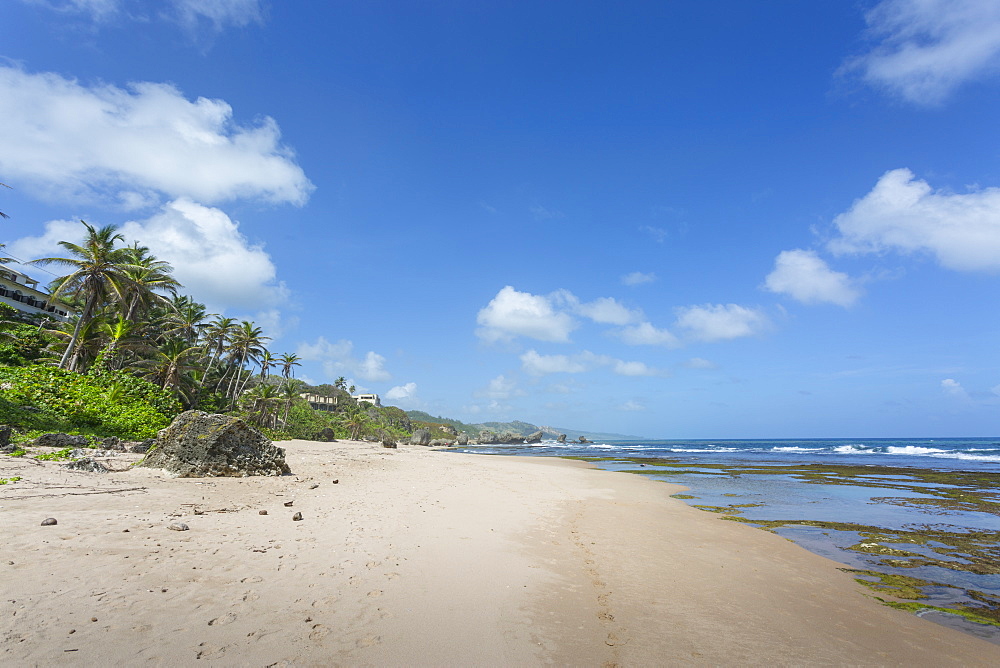 Bathsheba Beach, Bathsheba, St. Joseph, Barbados, West Indies, Caribbean, Central America