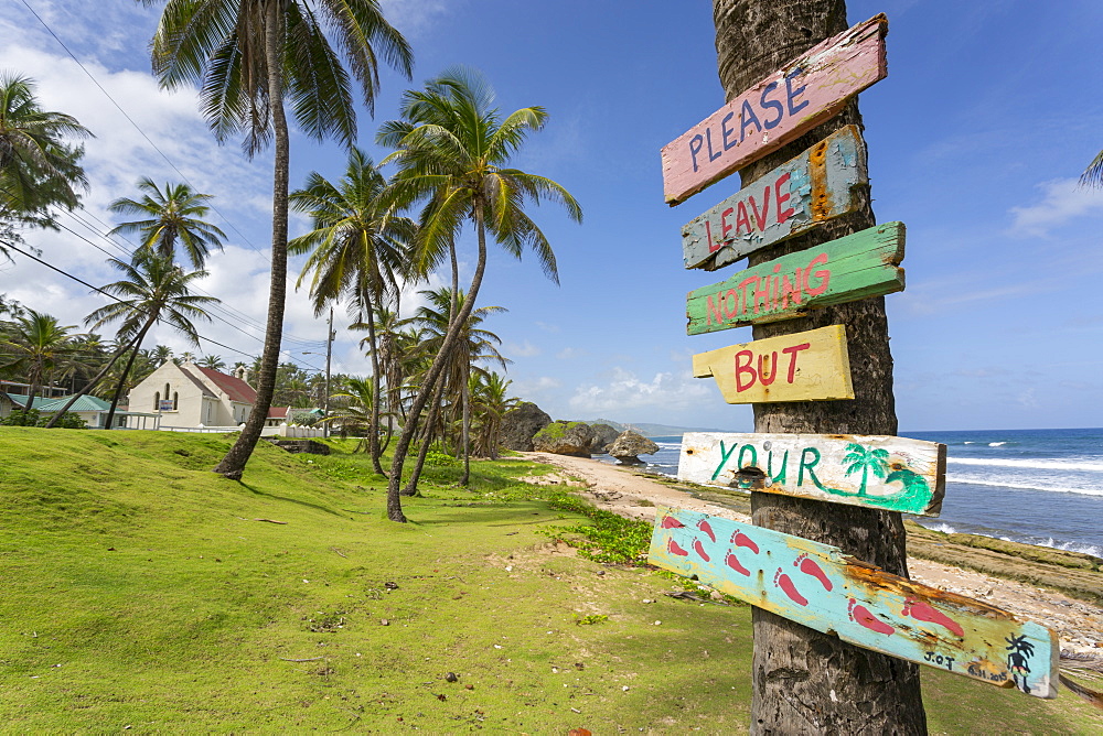 Beach, Bathsheba, St. Joseph, Barbados, West Indies, Caribbean, Central America